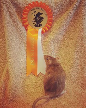 11988342_429517900583279_1230270126686576990_n